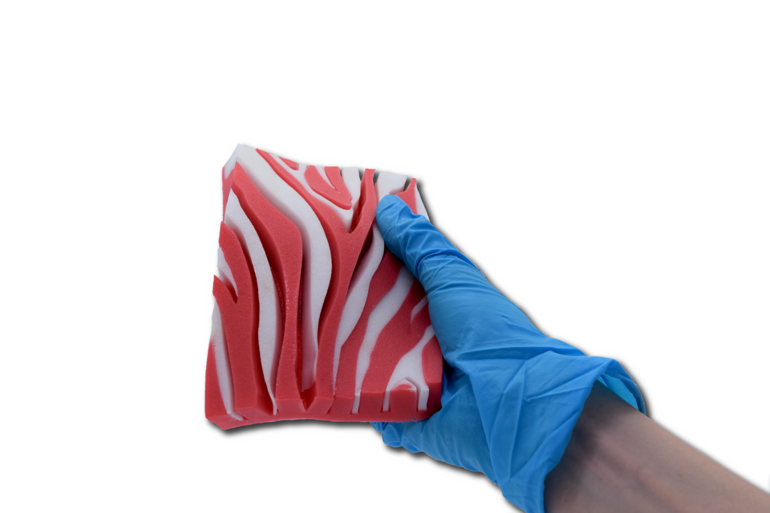 zebra-skin-pad-in-hand-transparent