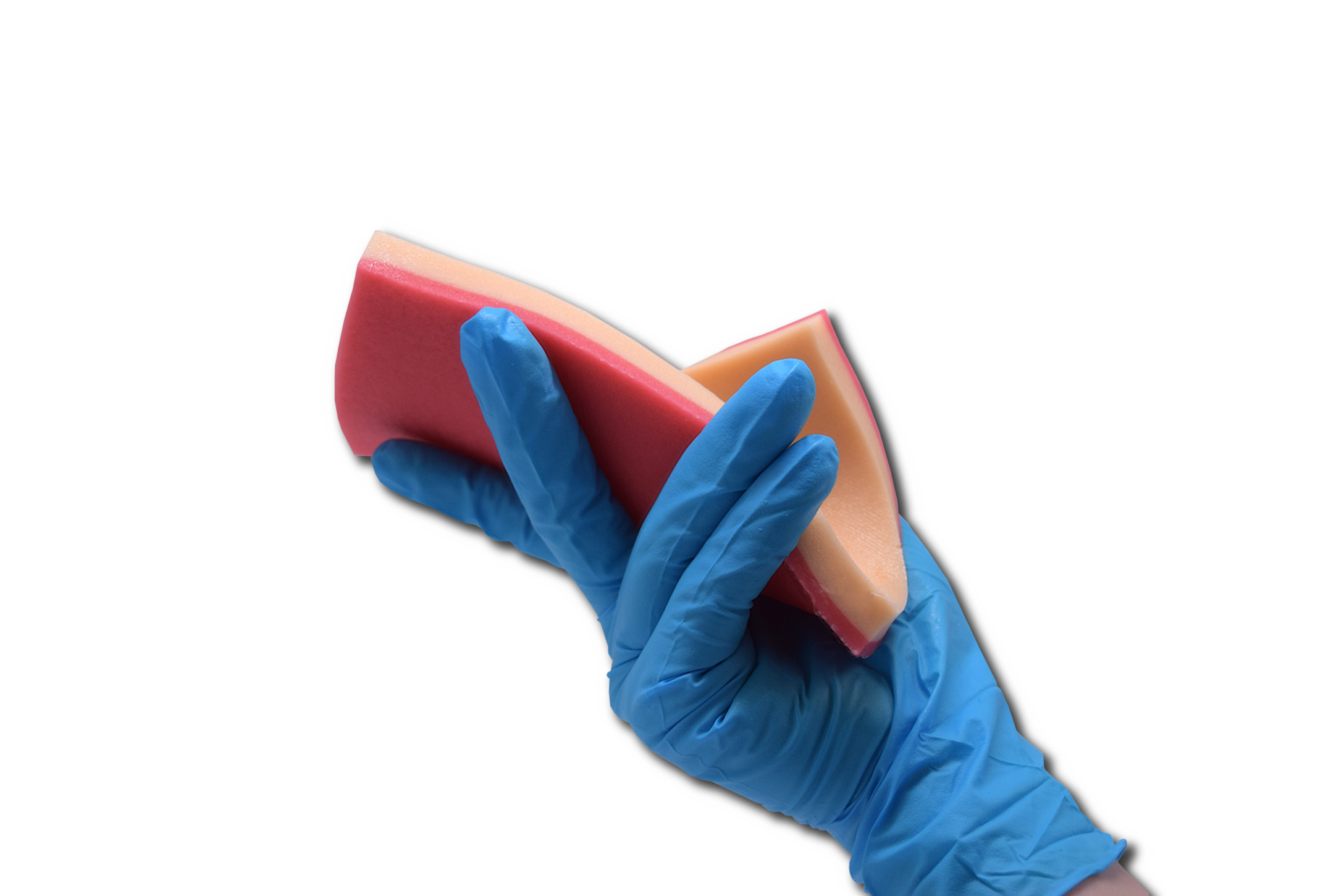 Haut und Muskel in der Hand transparent (1)